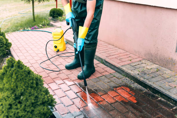Best Roof Cleaning and Mildew Removal in Richardson, TX